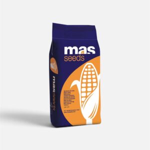 MAS