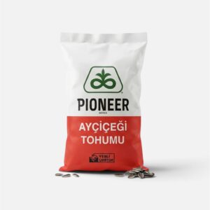 PIONEER