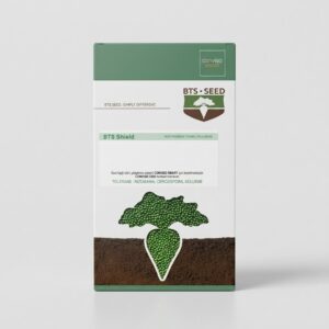BTS SEED