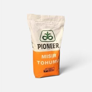 PIONEER