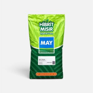 MAY - Görsel 1